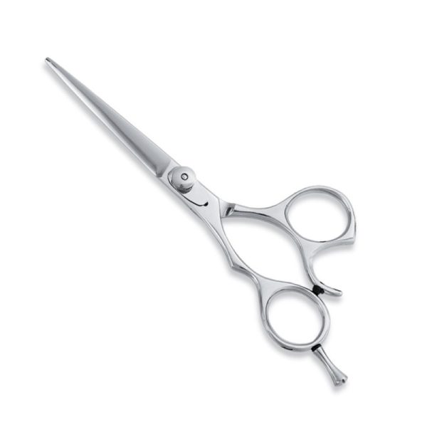 Professional Hair Cutting Scissor