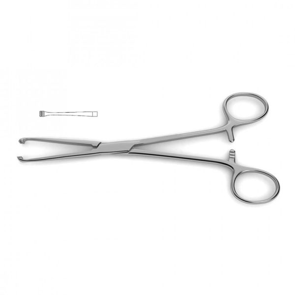 Allis Tissue Forceps - Atraumatic Jaws