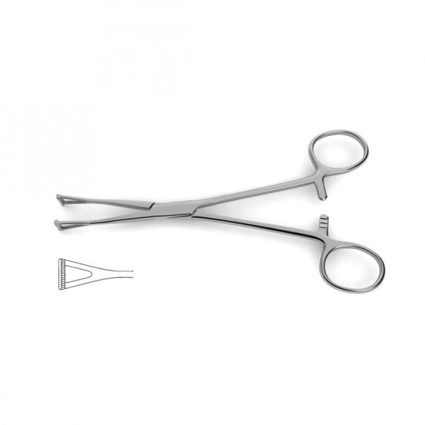 Collins Tissue Seizing Forceps