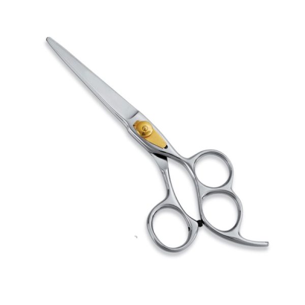 Professional Hair Cutting Scissor