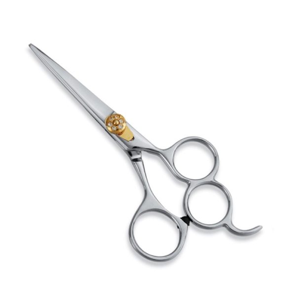 Professional Hair Cutting Scissor
